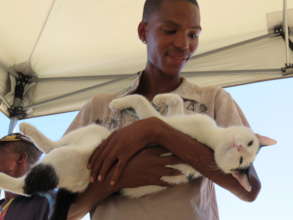 And another kitty spayed!