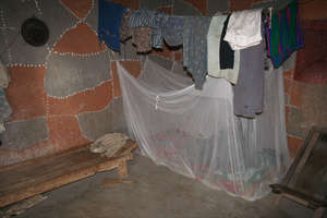Bed for a family of four