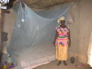 Mosquito Nets
