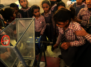 Children learn how to shred plastic