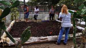 sowing process