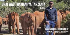 Alikiba joins WildAid in Tanzania Ivory Campaign