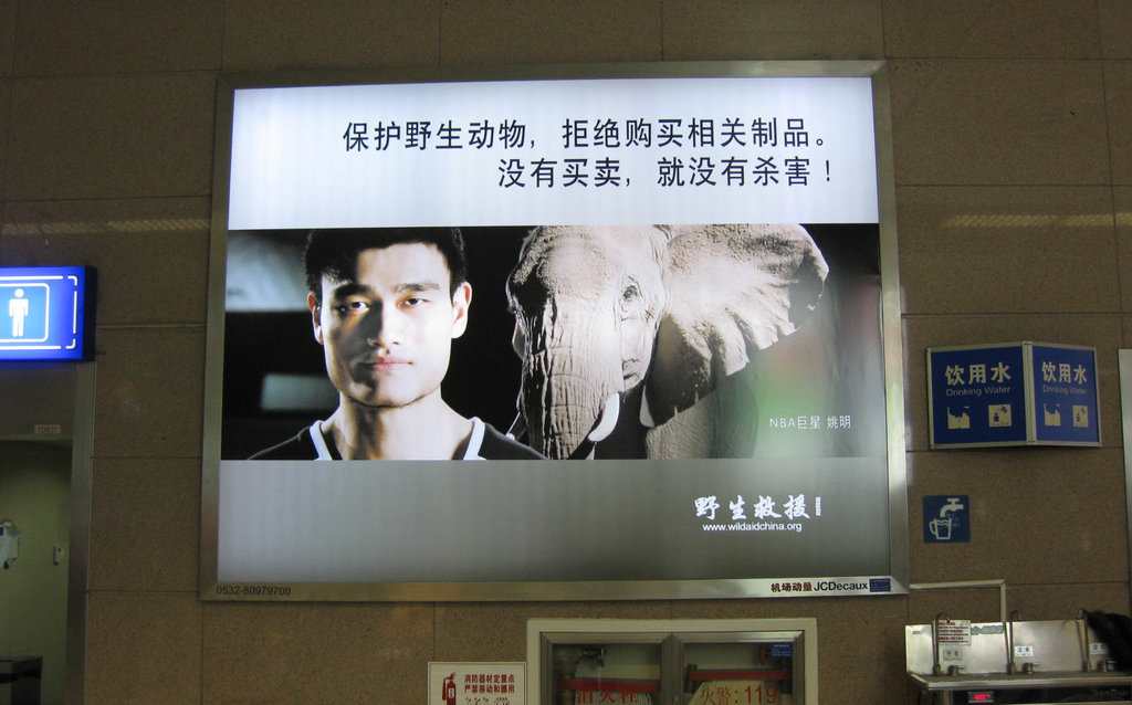 Reducing Demand for Ivory in China