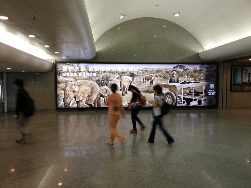 Reducing Demand for Ivory in China