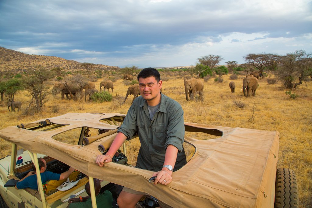 Reducing Demand for Ivory in China