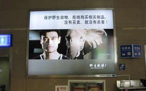 Yao Ming anti-ivory ad
