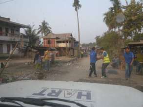 Catching the stray dogs