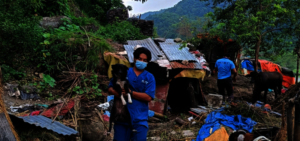Collection Team rounding up puppies for help