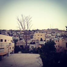 Jen Refugee Camp, view from The Freedom Theatre