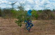 Bring Education to 270 Nomadic School Girls