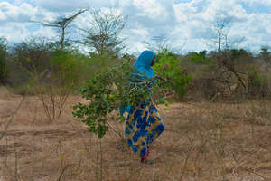 Bring Education to 270 Nomadic School Girls
