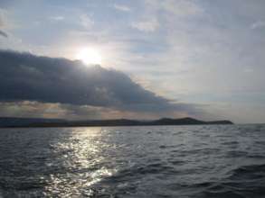 Crocodile Island