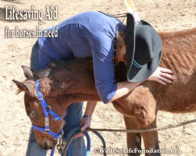 Lifesaving Mission