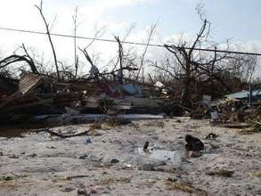 Devastation