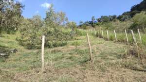 Improving fences and firebreaks