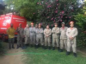 The fire brigade