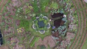 Mandala garden