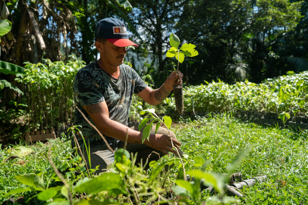 Restore Brazil's Atlantic Forest