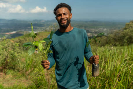 Reforesting the Atlantic Rainforest of Brazil