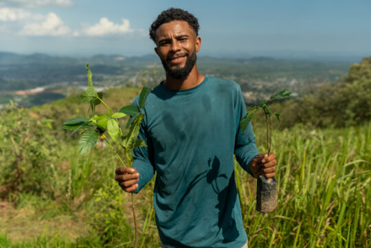 SINAL: Reforesting and Reconnecting with Nature