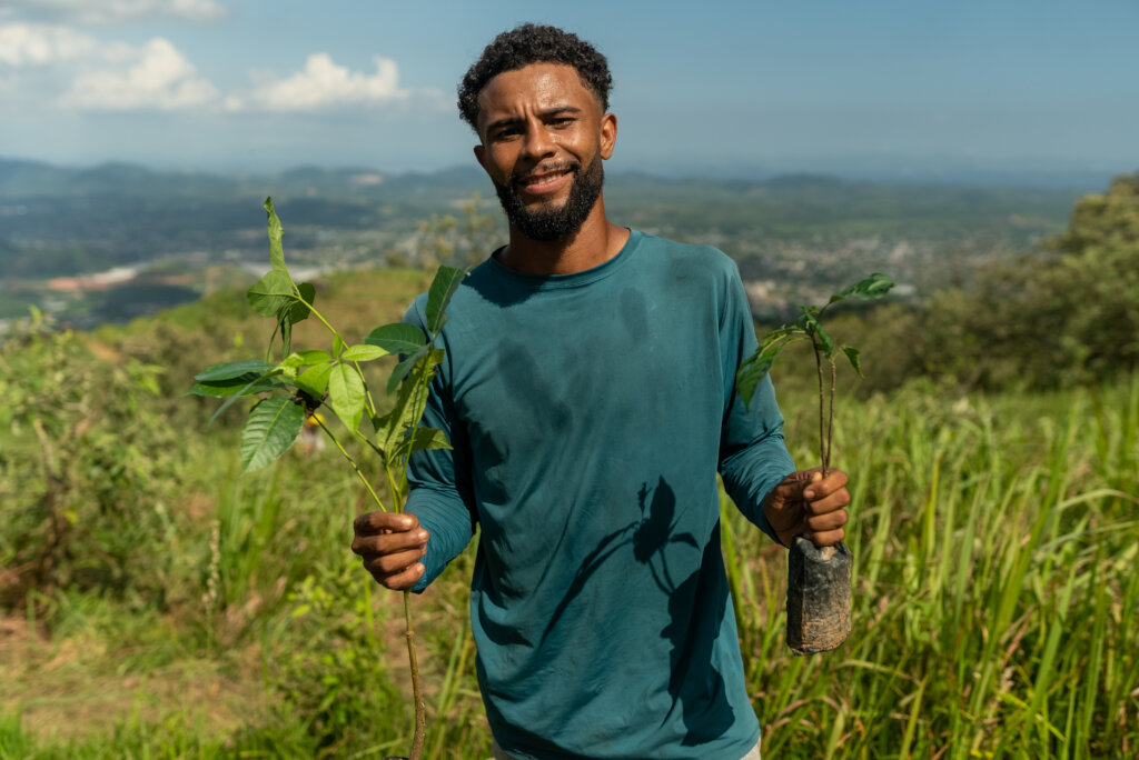 Reforesting the Atlantic Rainforest of Brazil