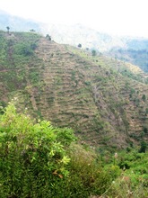 Degraded Land Targeted For Restoration