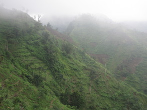 Shrouded in mist,this area used to be dense forest