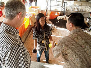 Tim and Adi investigate compost at Djarum