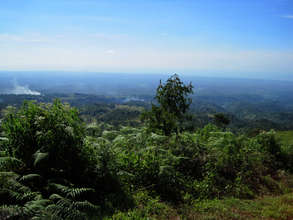 A view of the expanded restoration site