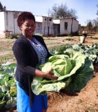 Vegetable Project