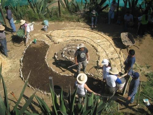 Grow Clean Food & Harvest Water in Rural Oaxaca