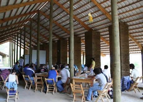 Grow Clean Food & Harvest Water in Rural Oaxaca