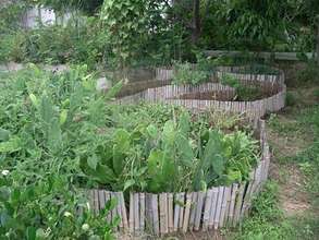 Organic nopal and medicinal herb garden