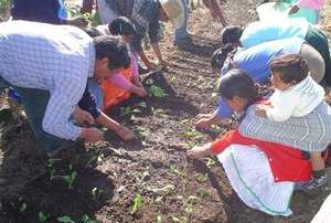 Sustainable Agriculture workshop
