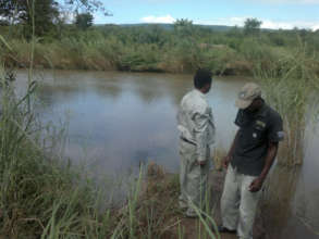 Throwing traps in the Mbuluzi River