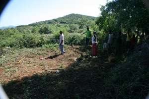 Teaching how to plant moringa