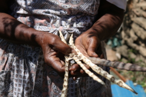 Gogo with moringa pods