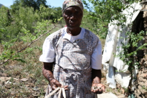 Gogo showing off her moringa seeds and pods