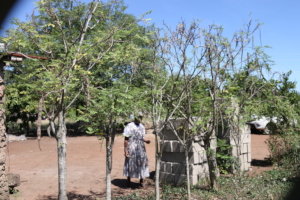 Gogo at her homestead