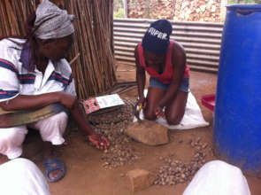 Bongiwe sorting and cracking marula nuts