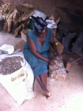 Florence cracking marula nuts at her homestead