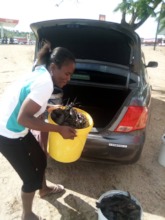 Delivering live crawfish, caught in the community