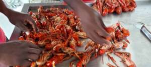 Cooked crawfish ready for freezing
