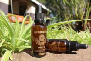 Bottled Marula Oil