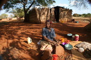 Cracking Marula Nuts in Mgindzangcunu, Vuvulane
