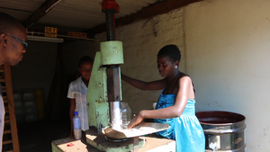 Zanele and Philile Pressing their first nuts.