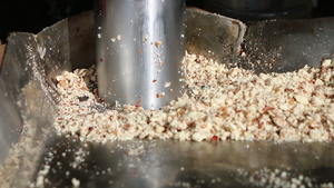 The press and the marula nuts