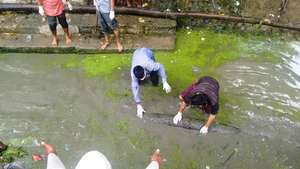 Activity in progress..