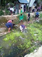 Community carrying out the activity together..