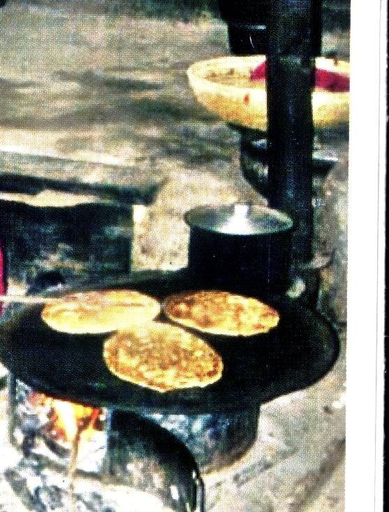 Coal Dust Briquettes for Nature Conservation